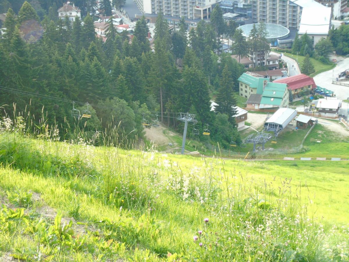 Хотел Флора Private Studio All Seasons 波罗维茨 外观 照片